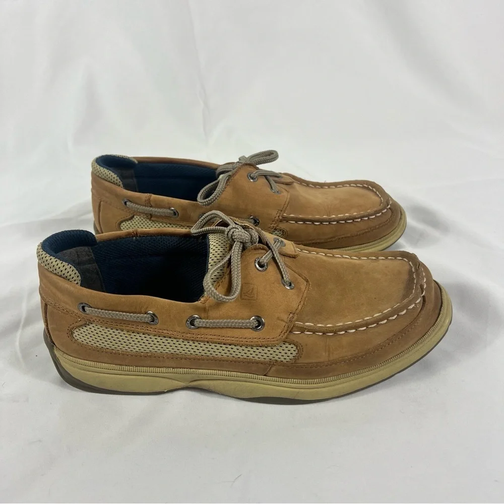 Sperry classic brown